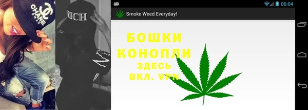 мяу мяу мука Ельня