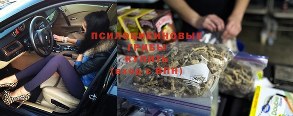 spice Елабуга