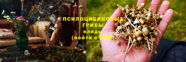 синтетический гашиш Елизово