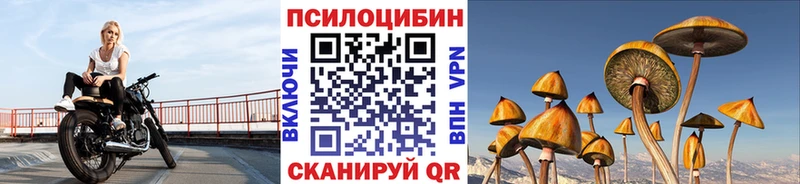 Купить закладки  Котлас  Псилоцибиновые грибы ЛСД 