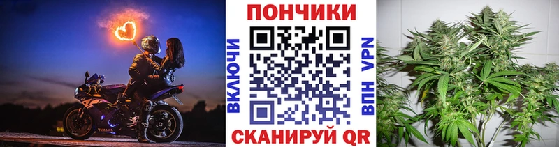 Каннабис гибрид  Купить где  Котлас 